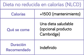Paso 6 — Mantenimiento