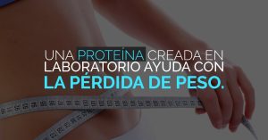 Científicos crean una proteína para ayudar en la pérdida de peso.