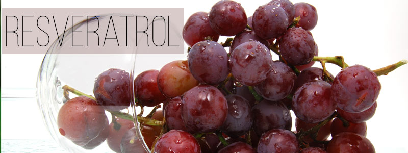 Alimentos con resveratrol