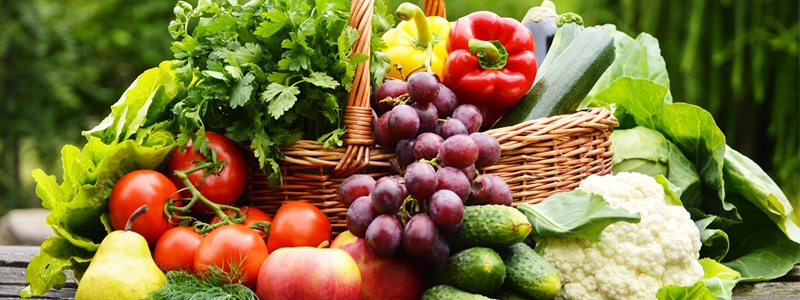 Fruta deshidratada. Beneficios y uso como endulzante - Ecologizate